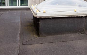 disadvantages of Ballyculter flat roofs