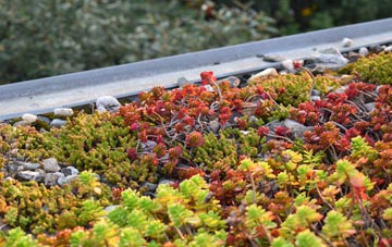 the cost of Ballyculter green roof installation