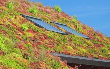 Ballyculter living roof systems