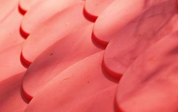 Ballyculter plastic roof costs