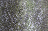 Ballyculter fibreglass roof work